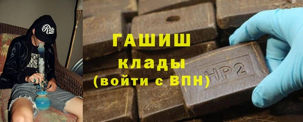 хмурый Аркадак