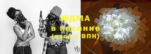 хмурый Аркадак