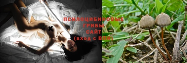 ECSTASY Армянск