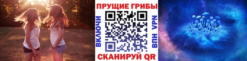 Галлюциногенные грибы прущие грибы  наркошоп  Суоярви 